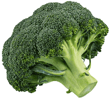A head of broccoli from Smith's Farm on a white background.