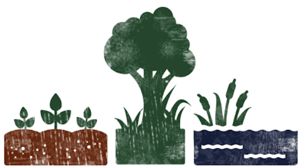 A sustainable farming illustration featuring a tree, a plant, and a pond.