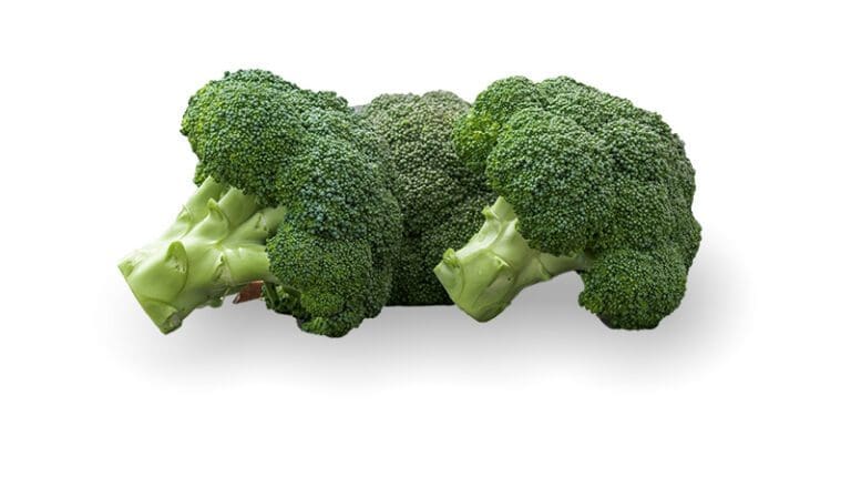 A bunch of broccoli on a farm.