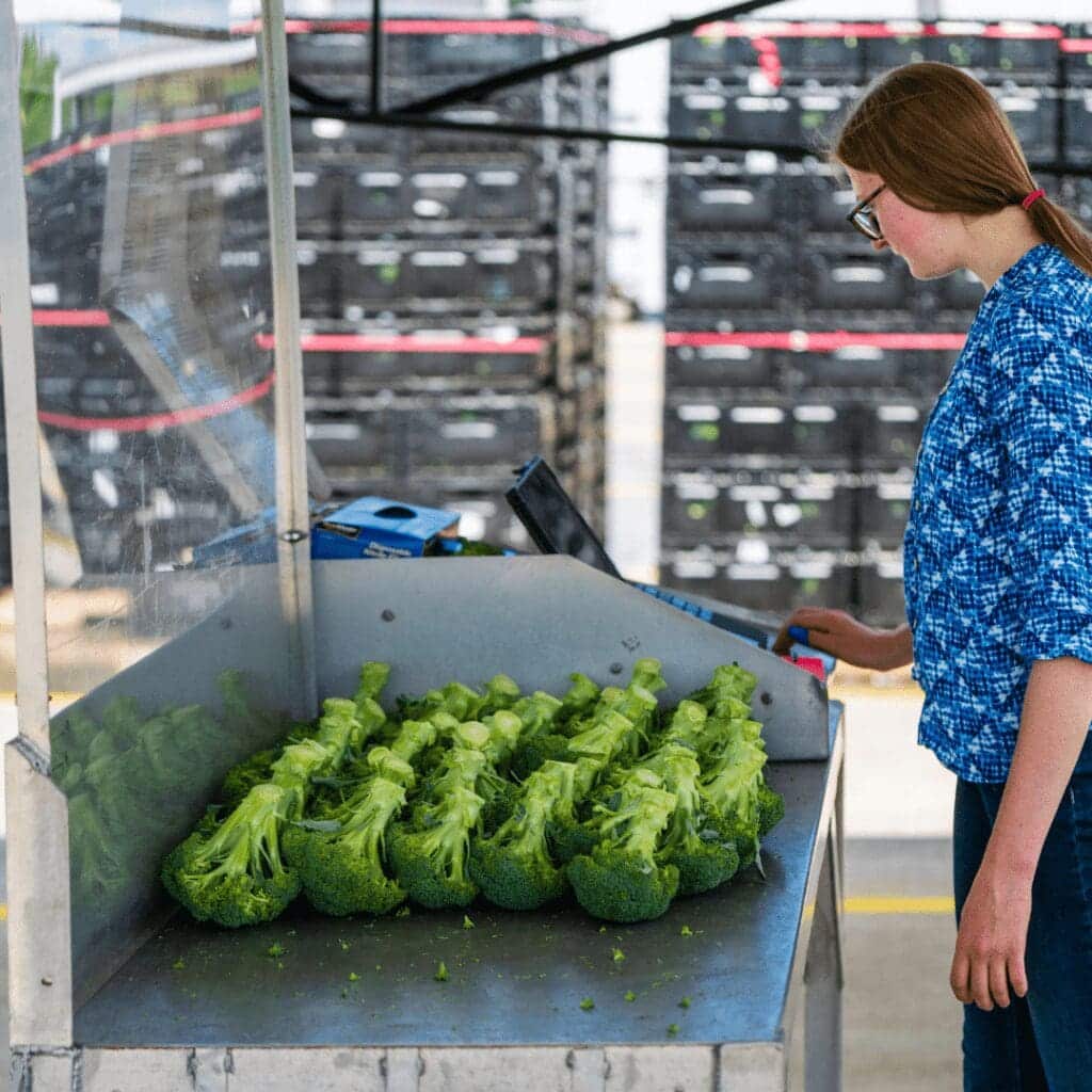 A woman practicing food safety in a blue shirt.